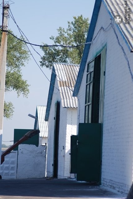 Як на Волині сушать зерно. ФОТО